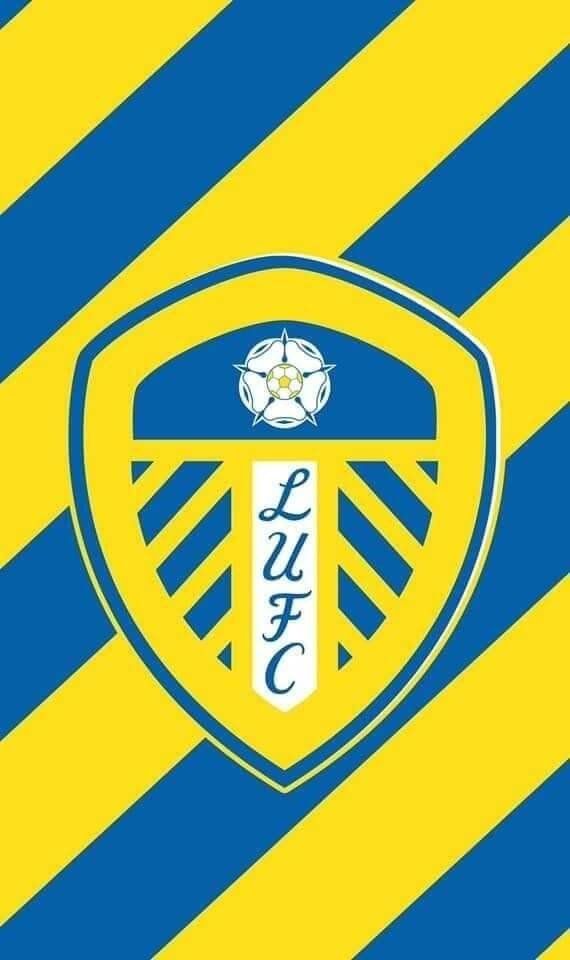 Leeds United in the 90s: From the Champions League to the Championship in Three Years