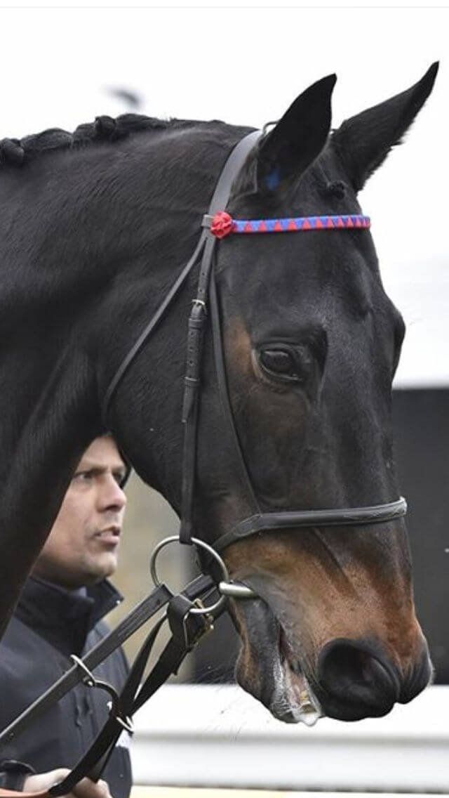 Sprinter Sacre: Legendary Steeplechaser