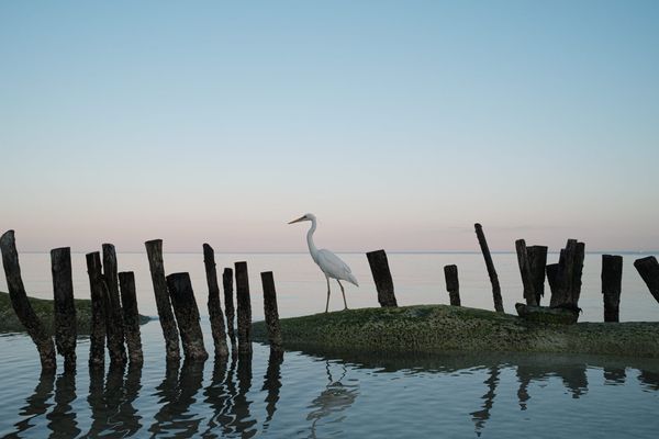 Not just a model photographer