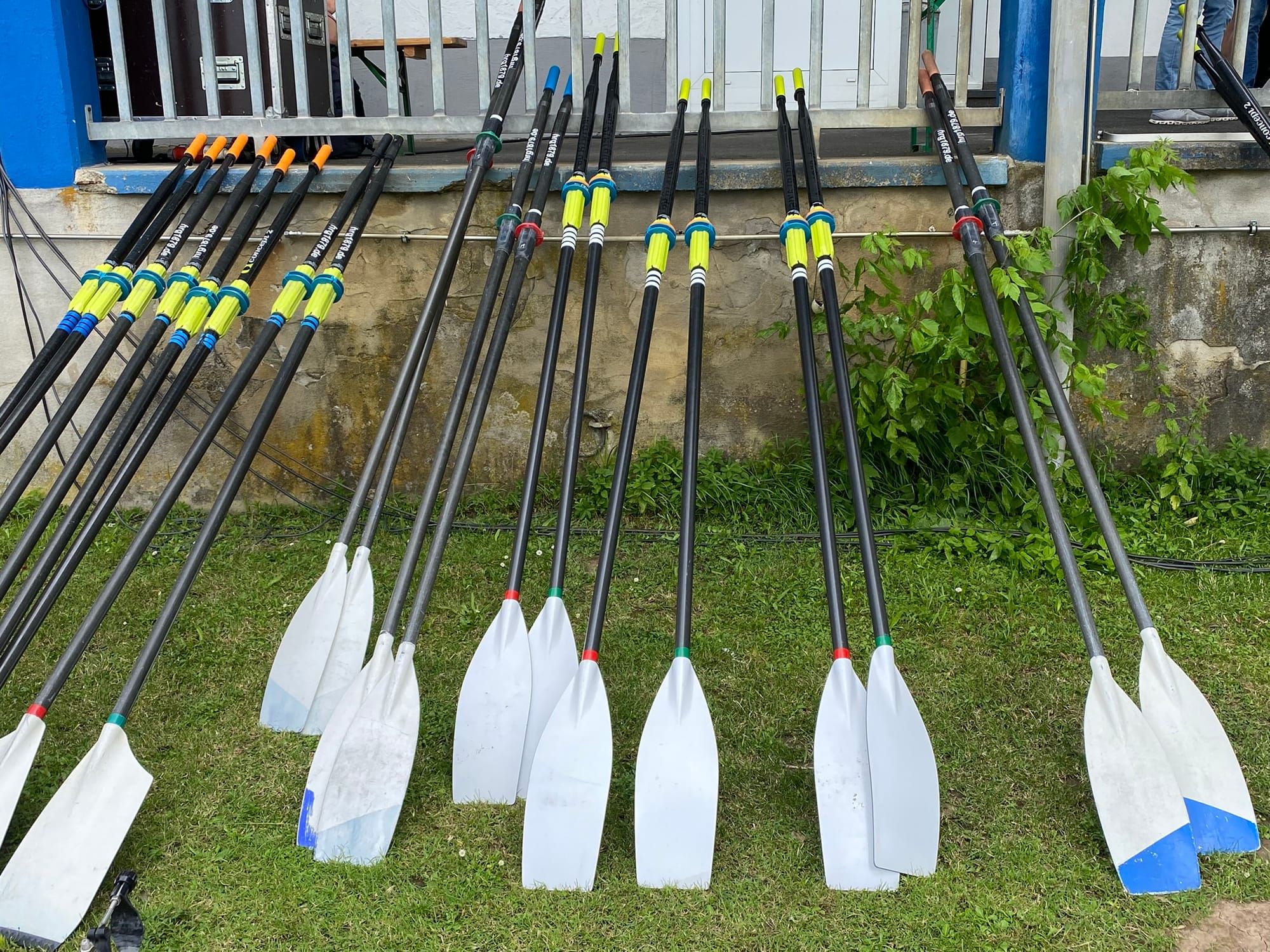 Schnupperrudern für Erwachsene