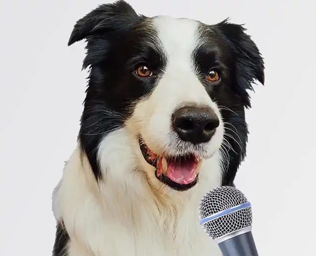 Bark Twain, Special to the Snoot Report