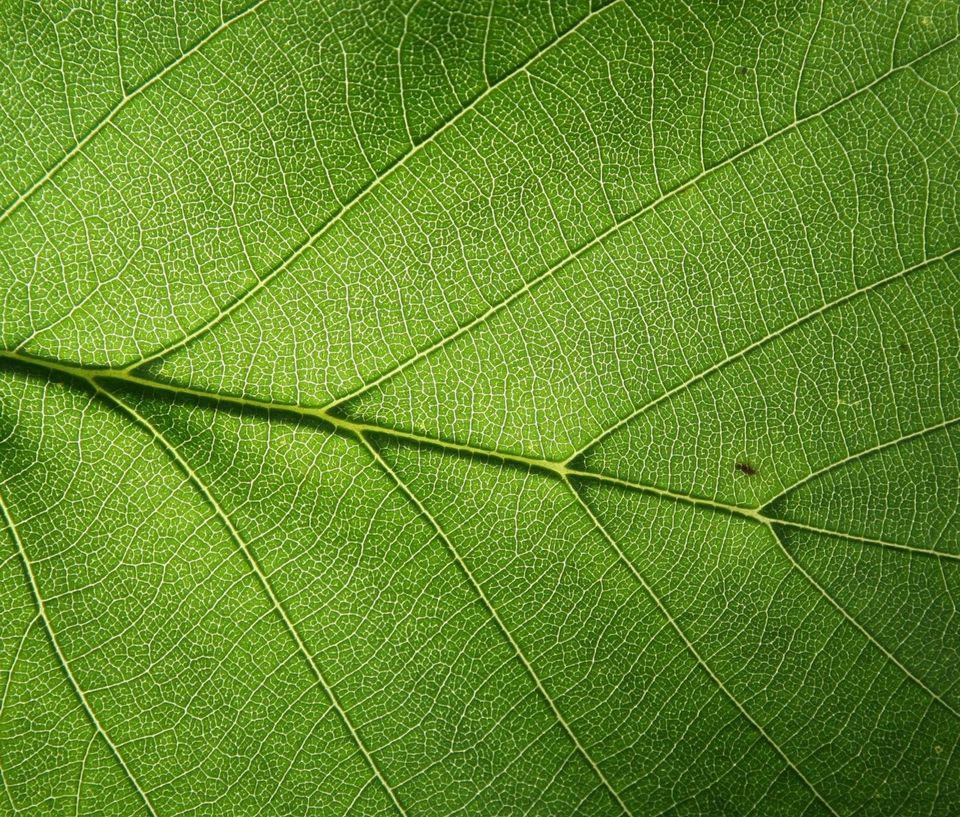 寫在休學之後(四): 細節