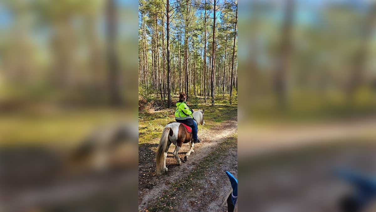 Island stables also struggling with large animal vet shortage