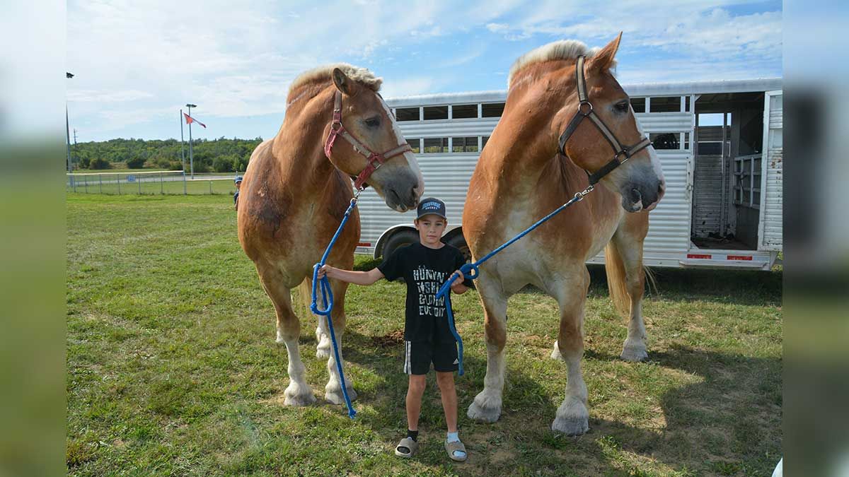 Manitowaning Fall Fair celebrates 150 years of rural life