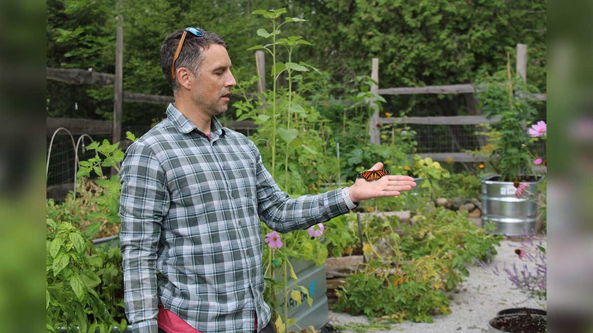Federal team studies Manitoulin Monarchs