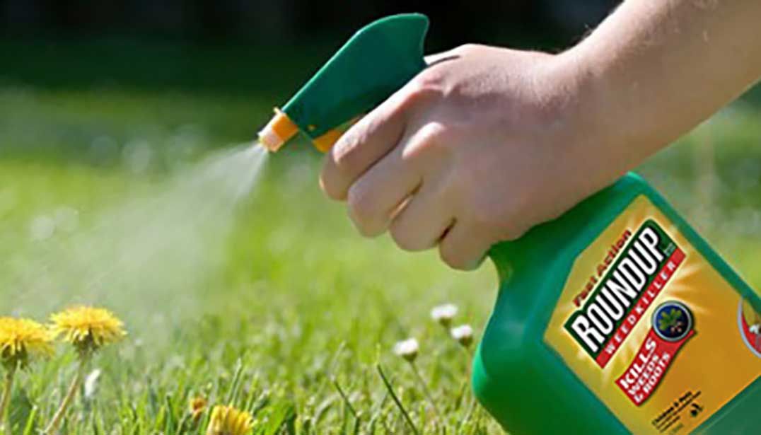 Major lawsuit filed against companies that make glyphosate-based Roundup