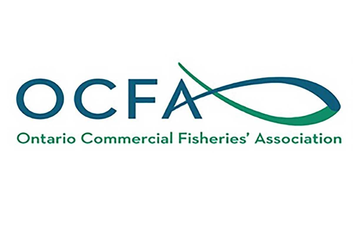 Ontario Commercial Fisheries Association not included in federal government’s $62.5M aid for fish and seafood sector