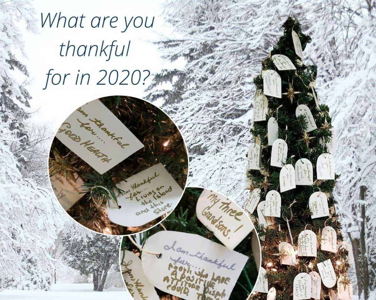 My Ol’ Blues ‘Thankful Tree’ a food bank fundraiser