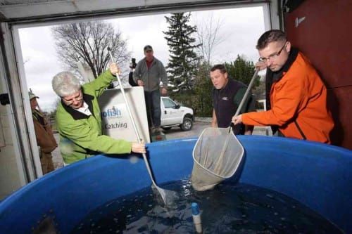 Idea from Evansville’s Mike Meeker leads to restocked Sudbury lakes