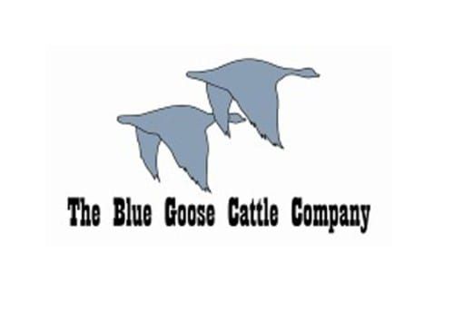 Blue Goose Corporation purchases Camp Adanac