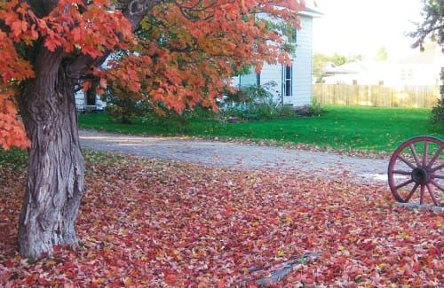 Manitoulin Community Garden wants your leaf litter