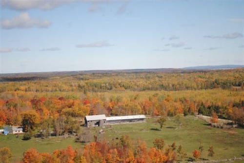 Non-tillable land shouldn’t  be assessed  as farmland, Burpee-Mills tells province