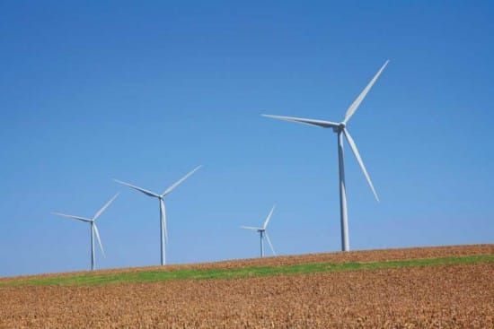 Island philosopher weighs in on democracy and wind farms