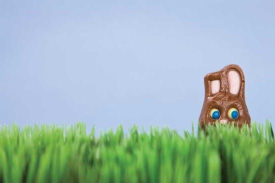 Expositor launches first Easter Egg Hunt this week