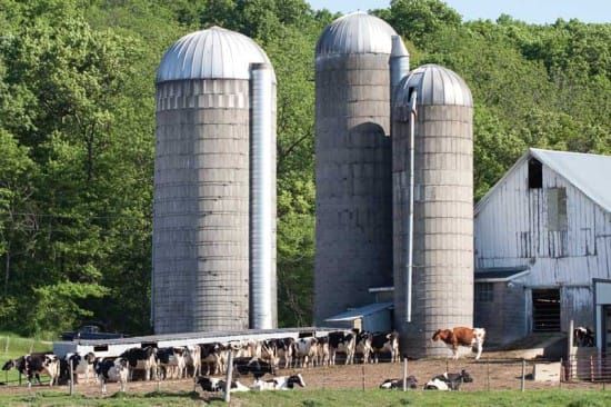 Conservatives don’t walk their talk on farmers’ issues