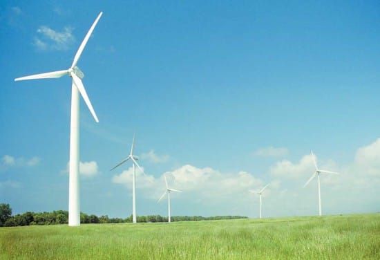 Riding stable owner applauds dentist’s wind farm stand