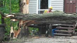 Friday storm wreaks havoc in Pike Lake almost seven years after Manitoulin microburst