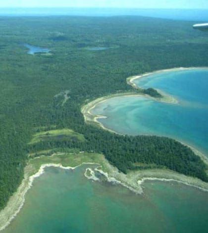Low water levels have ruined water quality, habitat, says Mike Wilton