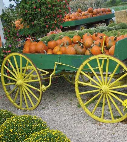 Show your community spirit this fall