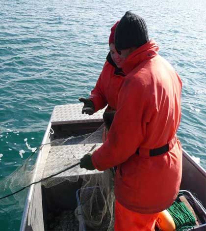 Fish monitoring surveys to be conducted on Mindemoya Lake