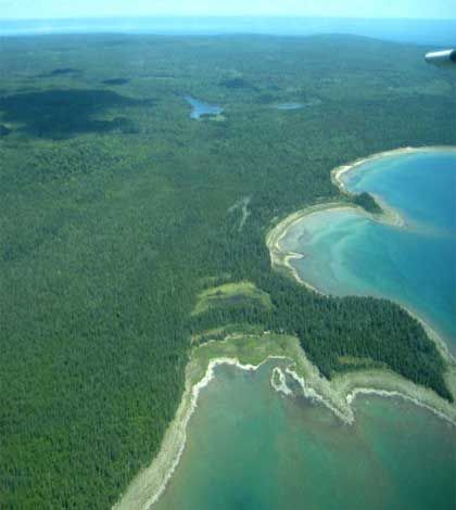Nature Conservancy manager responds to assessment concerns