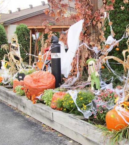 Spring Bay and Manitowaning both win Harvest Glory Days