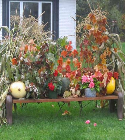 Enjoy fall splendour with Harvest Glory Days drive