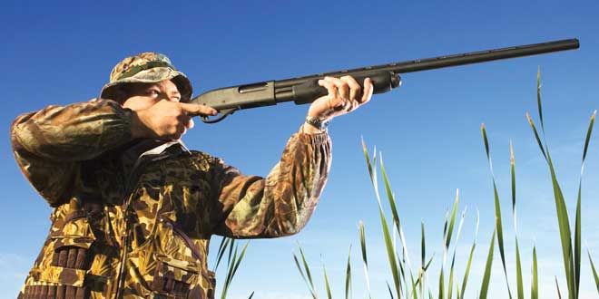 MNR reports significant decrease in number of charges during deer hunt