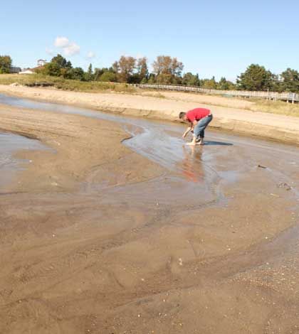Thank you to all who helped rehabilitate the Mindemoya River