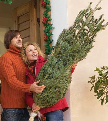 MNR encourages Ontarians to buy locally-grown trees