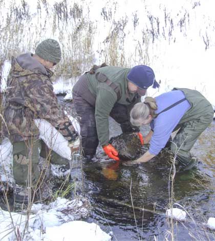 Manitoulin Streams recognized by province with Agri-Food Innovation Excellence Award