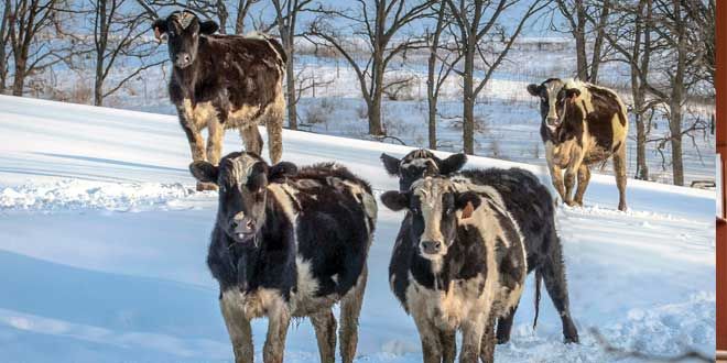 Dairy producers elect directors and award milk excellence