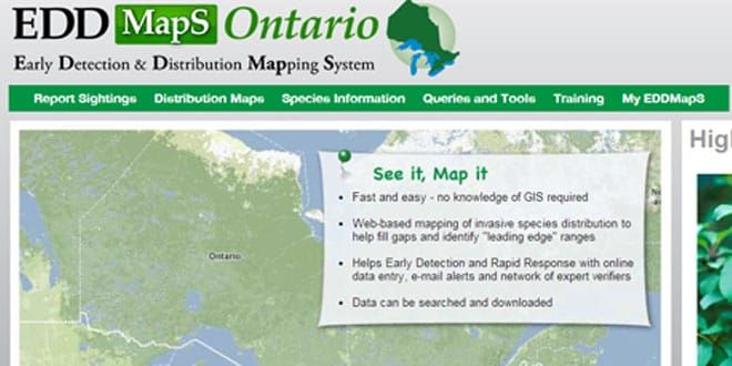 Provincial neglects to consult municipalities on species at risk guide