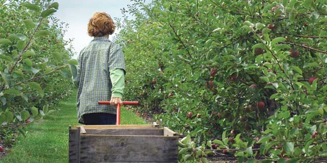 Talking to your kids about farm safety is critical