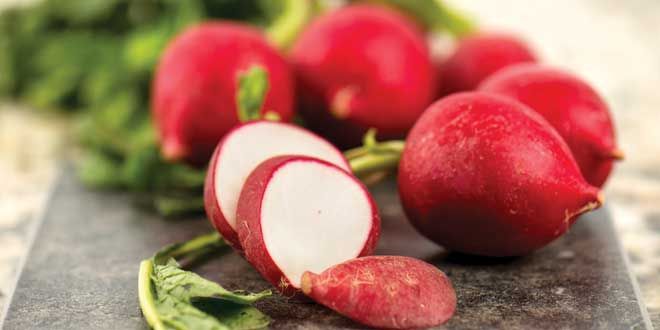 Beet, Parsnip, Radish Slaw