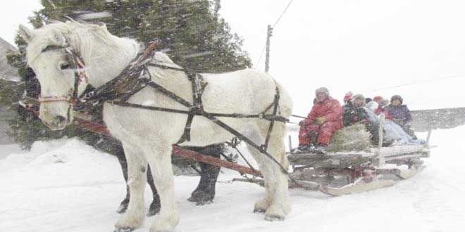 Community Living residents enjoy last days of winter with Prov Bay sleigh ride