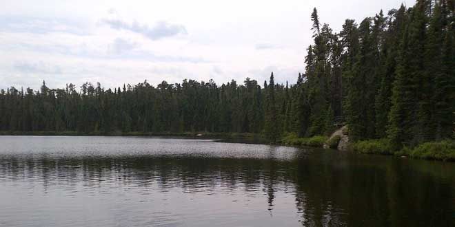 Ontario Saves Experimental Lakes Area