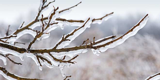 Freezing rain warning in effect