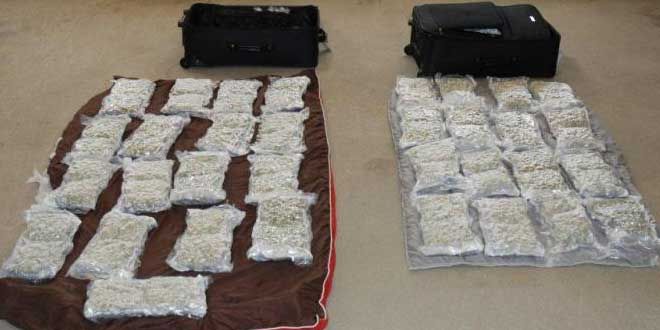 Parry Sound OPP seize 33 pounds of marijuana