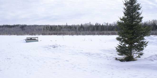 Island farmer seeks Health Canada approval for marijuana crop
