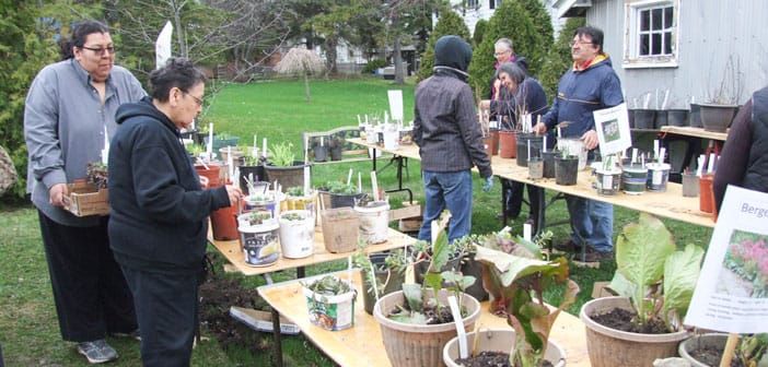 United Church Mothers’ Day plant sale a blooming success