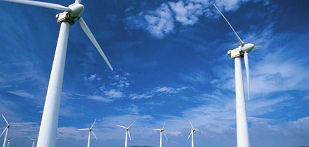Dentist who protests wind farms faces charges after refusing patient service