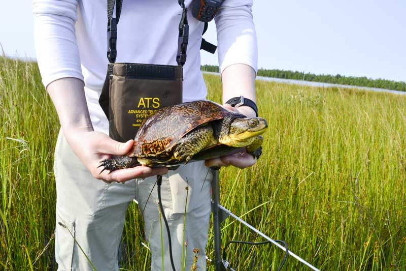 Misery Bay BioBlitz counts nature