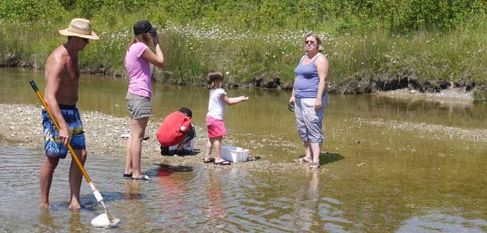 You’re on Manitoulin: find a fossil, groom a horse, bake some bannock, chart the stars!