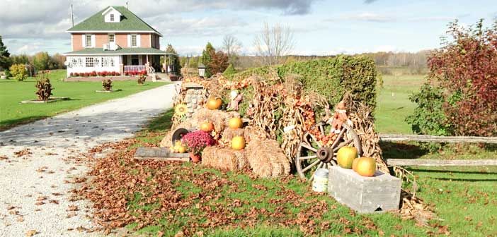 Register this week for Harvest Glory Days