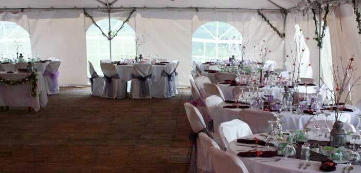 Expressive Events by Brenda has your next party covered
