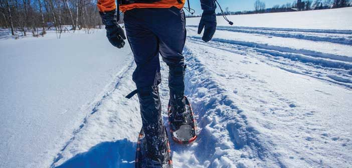 Assiginack plans year-round sports park