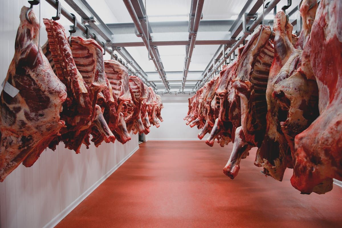 Farmers shocked at abattoir closure