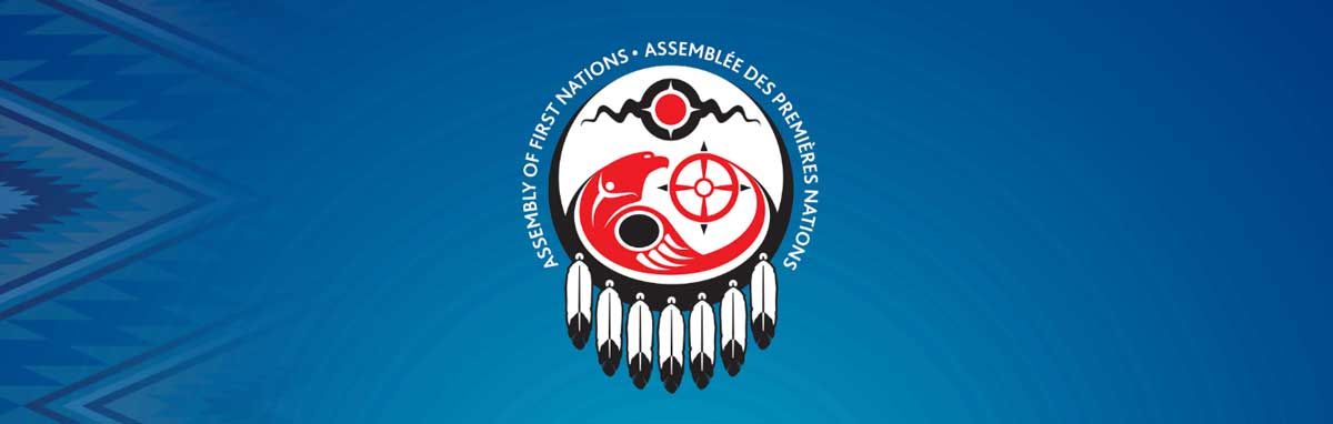 Ontario Chief Glen Hare seconds motion to remove national chief RoseAnne Archibald