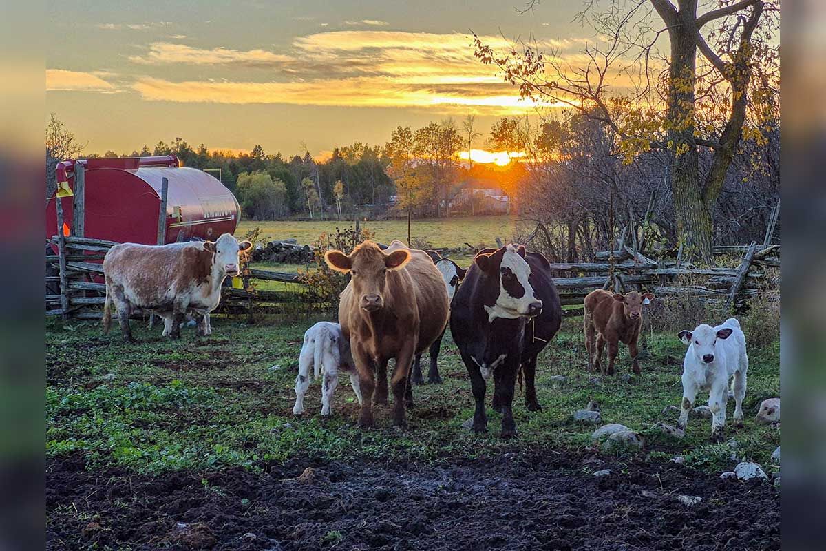 Educational farm facility takes farm safety to a whole new level